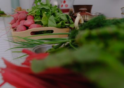 A variety of fresh vegetables including radishes and greens laid out on a kitchen countertop.